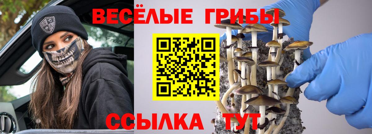 Калуга  Галлюциногенные грибы прущие грибы  Вход с VPN  Псилоцибиновые грибы Psilocybine cubensis 